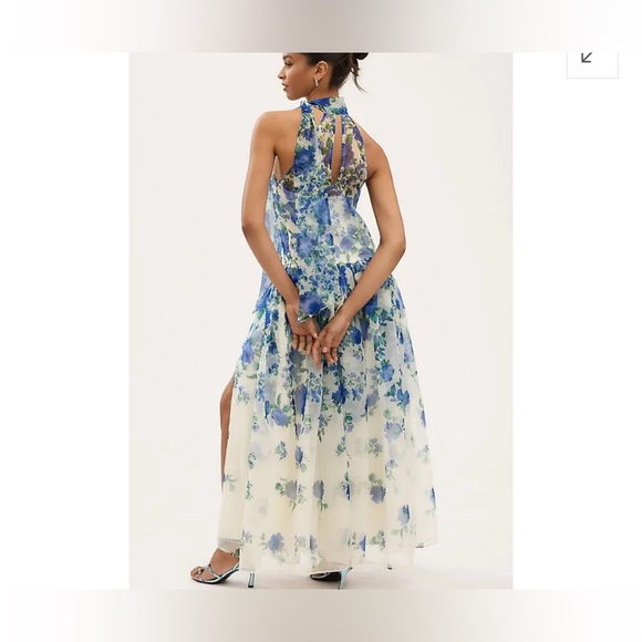 Anthropologie BHLDN Kendall High-Neck Scarf Floral Organza Maxi Dress size S - Picture 3 of 16